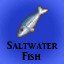 Saltwater Fish