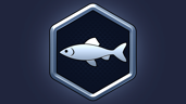 Fish Just Got Reel