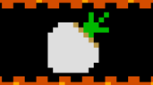 Turnip