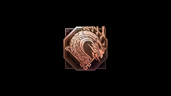 100 Mfps