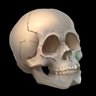Skull and Bones