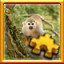 Squirrel Monkey Complete!