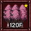 Normal-Misty Forest Hell 120F