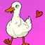 Ducking around