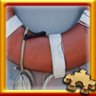 Life Preserver