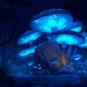 Shroom Service