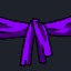 Purple Belt