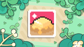 On A Roll!