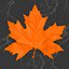 Let the leaves hit the floor 