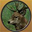 Stag