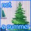 This is not a summer