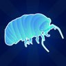 Big blue wood lice!
