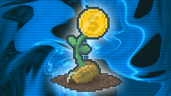 ROI