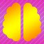 The Brain