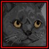 Herbert
