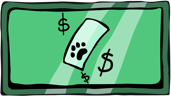 First paycheck