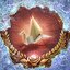 Origami novice