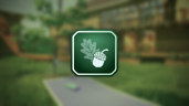 Acorn