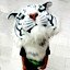 White Tiger
