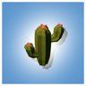 Cacti