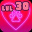 LEVELER X 30