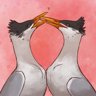 Devoted to Duet