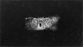 Only ashes remain