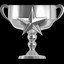 Western Service Award