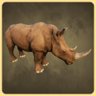 Rhino