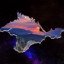 Crimea