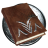 Veteran Explorer