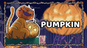 You Found The Pumpkin Cat