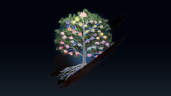 Giant Tree Budburst