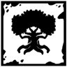Roots of Purity