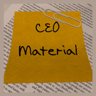 CEO Material