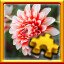Dahlia Complete! 