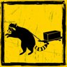 Raccoon stranding