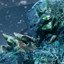 Survival Glacius