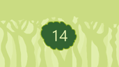 Level 14