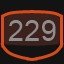229 level