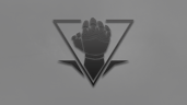 Fist of the South Star