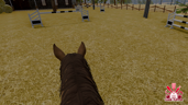 Don't hold your horses