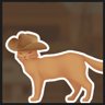 Find cat outlaw 4