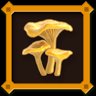 Chanterelle Mushroom