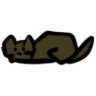 Catjumeira
