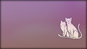 Found 320 cats