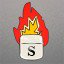 Burn Salve