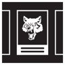 Team Abby