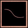 Newbie Worm Family
