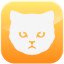 American Shorthair